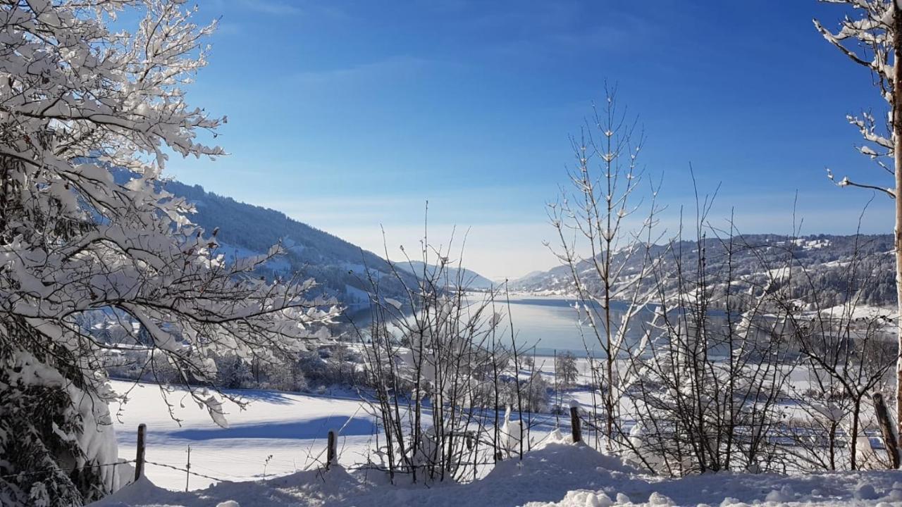 Ferienwohnung Fanny Am See Immenstadt im Allgäu Dış mekan fotoğraf